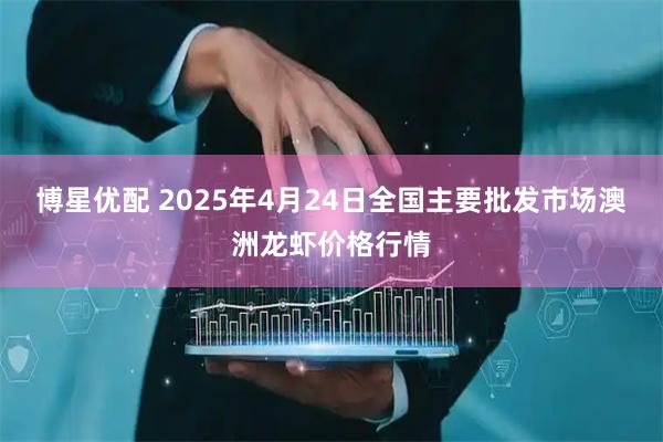 博星优配 2025年4月24日全国主要批发市场澳洲龙虾价格行情