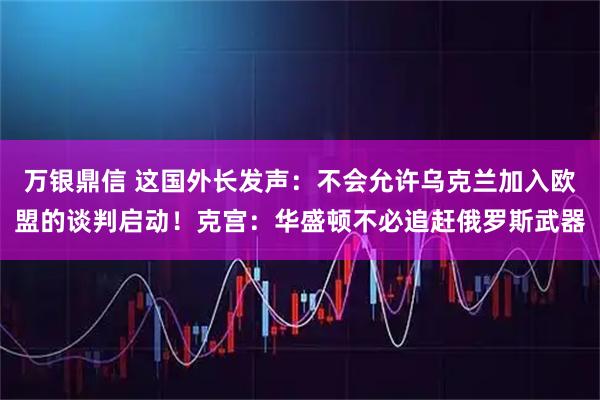 万银鼎信 这国外长发声：不会允许乌克兰加入欧盟的谈判启动！克宫：华盛顿不必追赶俄罗斯武器