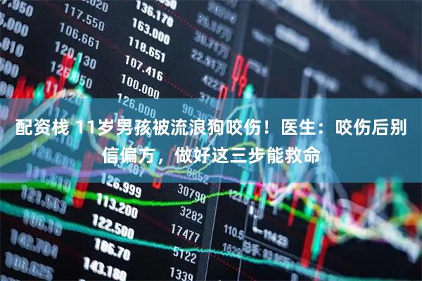 配资栈 11岁男孩被流浪狗咬伤！医生：咬伤后别信偏方，做好这三步能救命