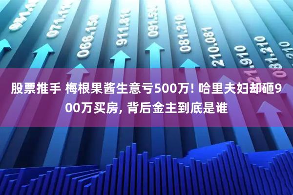 股票推手 梅根果酱生意亏500万! 哈里夫妇却砸900万买房, 背后金主到底是谁